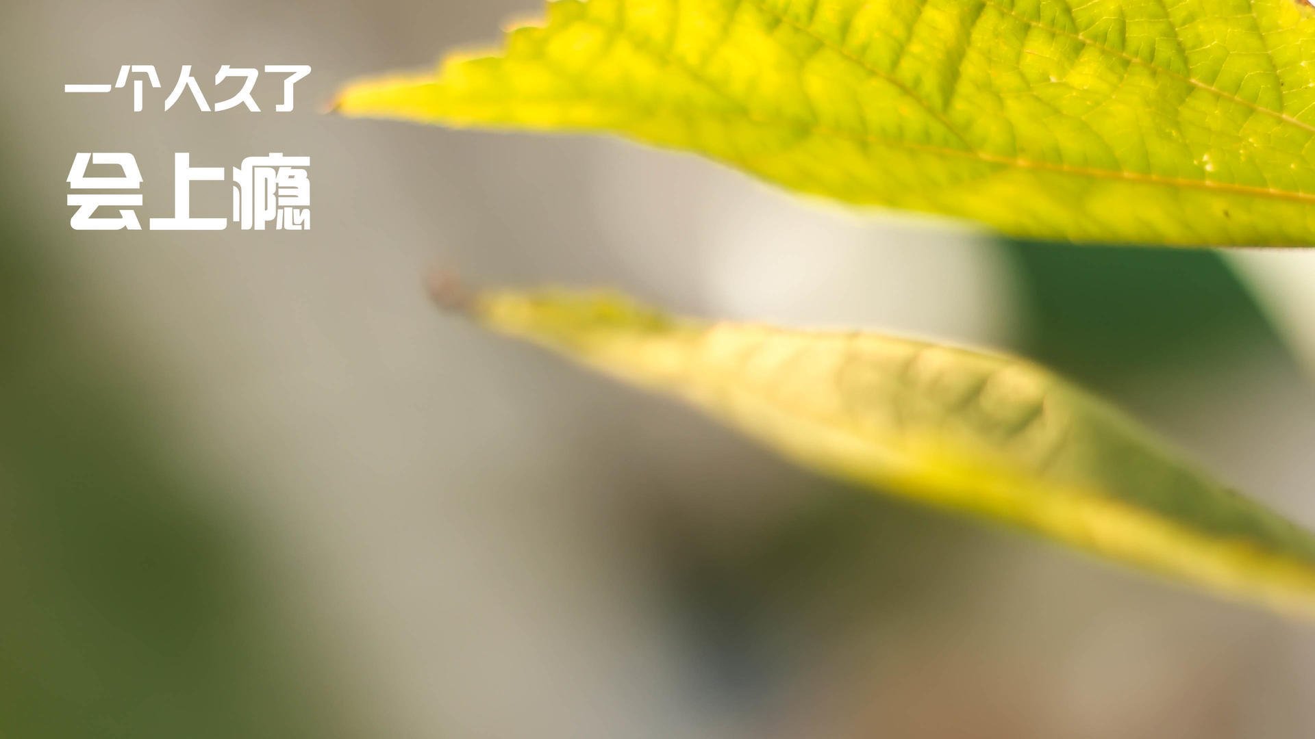 欧国联赛球队士气高涨,掀起热潮,欧国联赛程2021分组