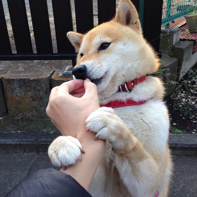 重要比赛中球队实力尽显,角逐激烈,足球比赛中,球队包括