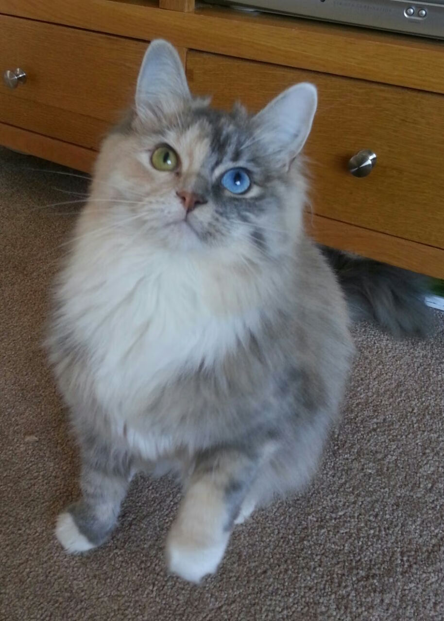 青岛男篮进攻战术多样化取得成效,青岛男篮比赛时间表