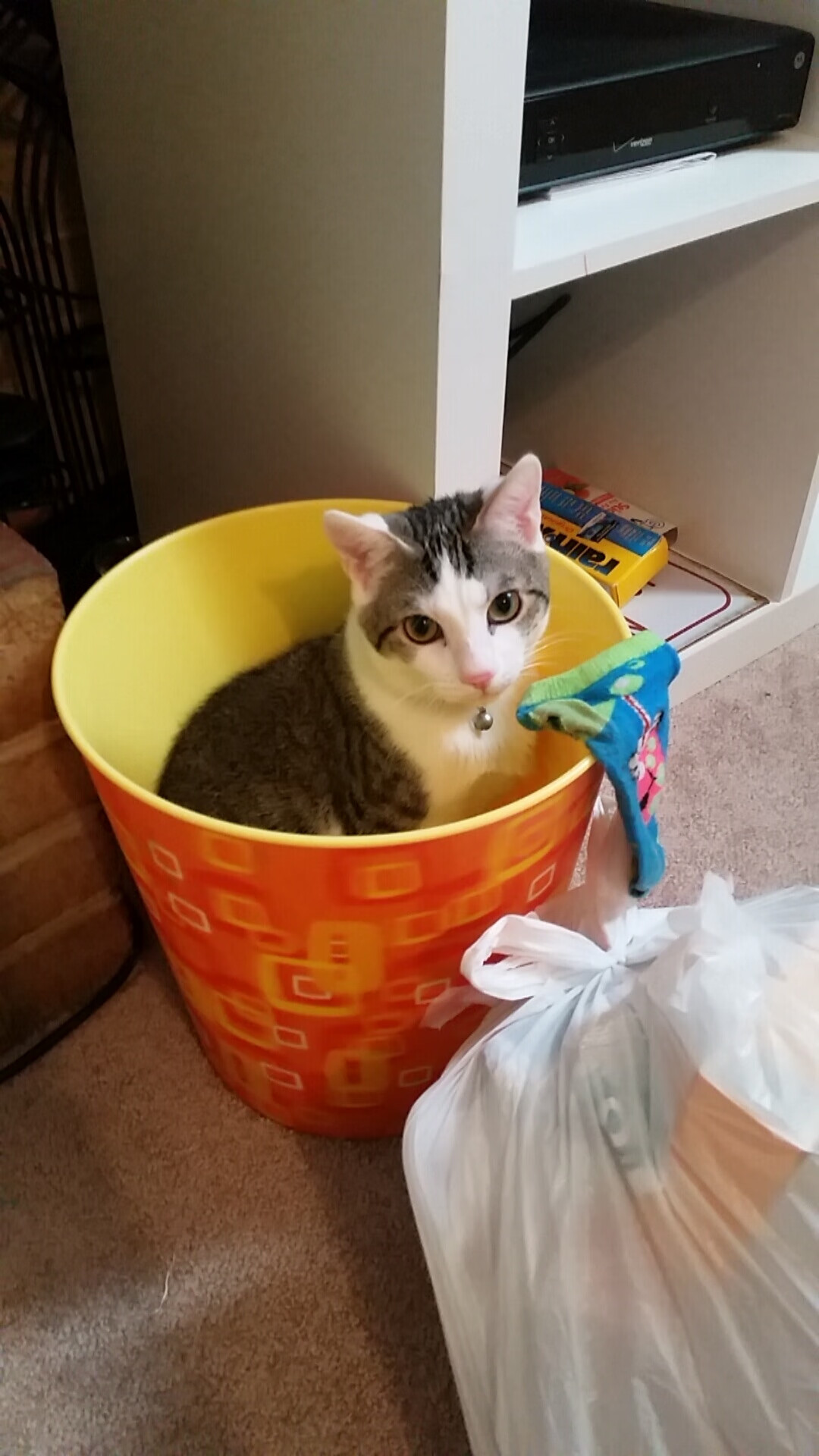 爱游戏体育平台-NBA赛季三双效率统计，nba三双数据历史排名