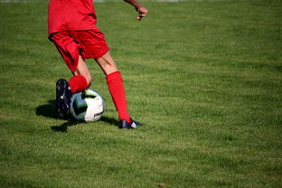 爱游戏体育（AYX）官方APP下载-中国篮球俱乐部青训体系绩效评估方法，篮球俱乐部青训营