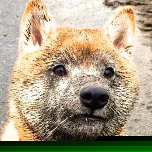 中国篮球俱乐部青训体系绩效评估方法,篮球俱乐部青训营