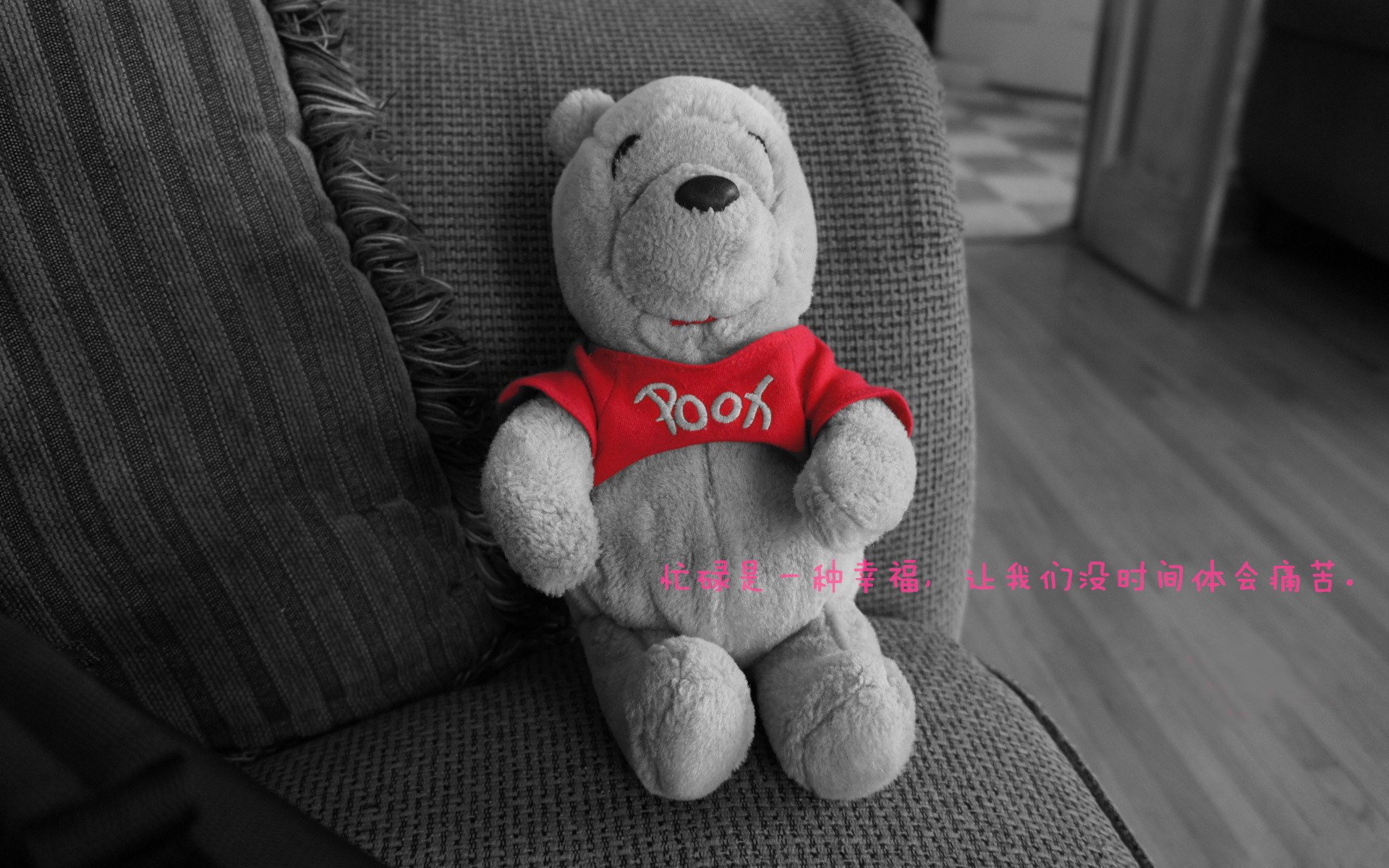 中小学体育活动组织与管理模式创新,中小学体育教育与活动指导