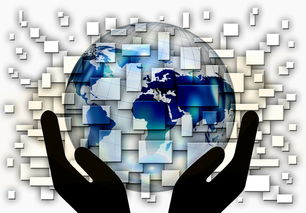 AYX官网-中超球队年度控场人数分布与效果评估，中超球队人数限制