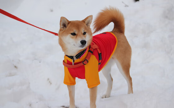 体育场馆环境优化方案,体育场馆运营方案提纲