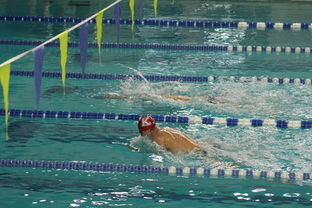 爱游戏app下载-全国公开水域游泳赛长江赛段人气爆棚