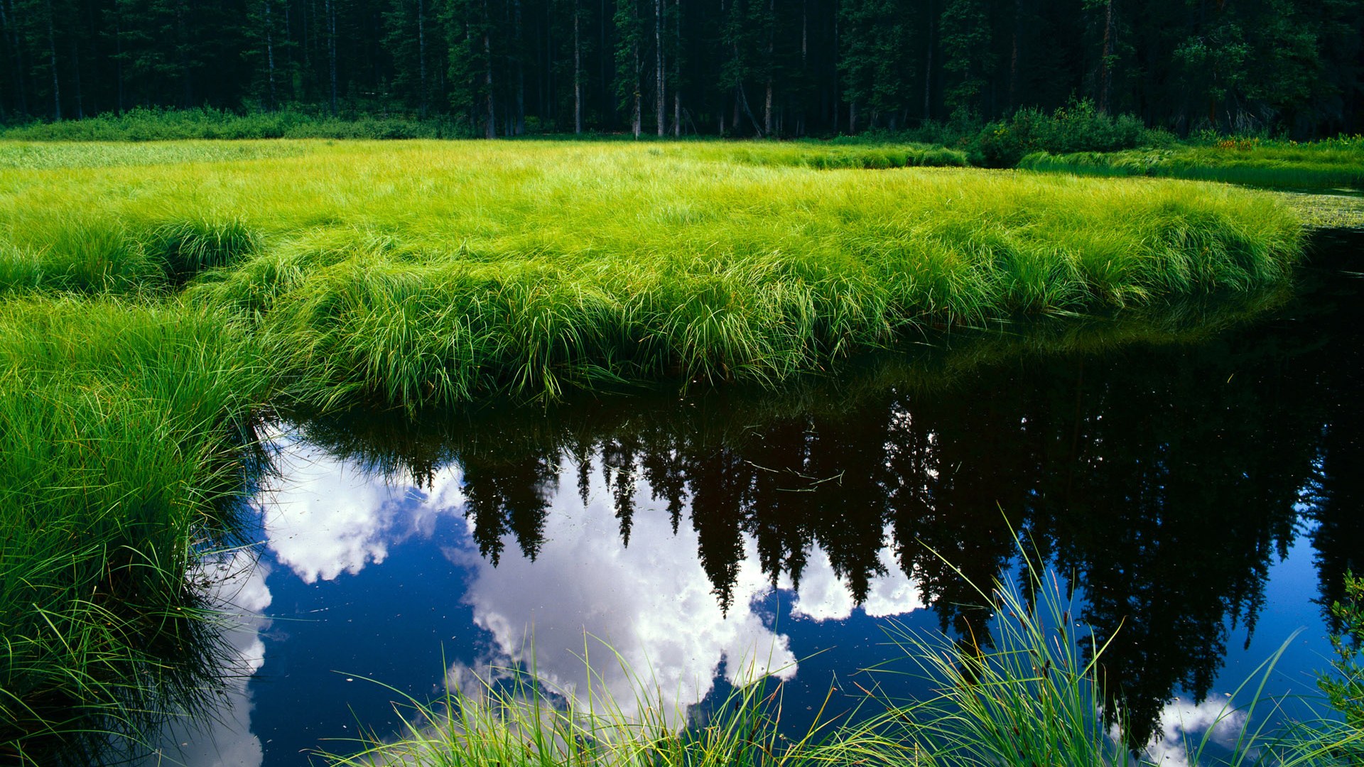 国足球员体能状态监测报告,中国足球队体能测试标准