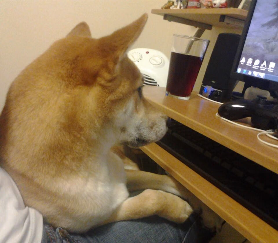 国足关键比赛表现回顾,国足关键之战