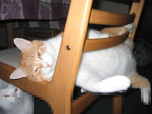 竞彩分析:专家预估本周焦点赛事,竞彩足球彩票 专家预测