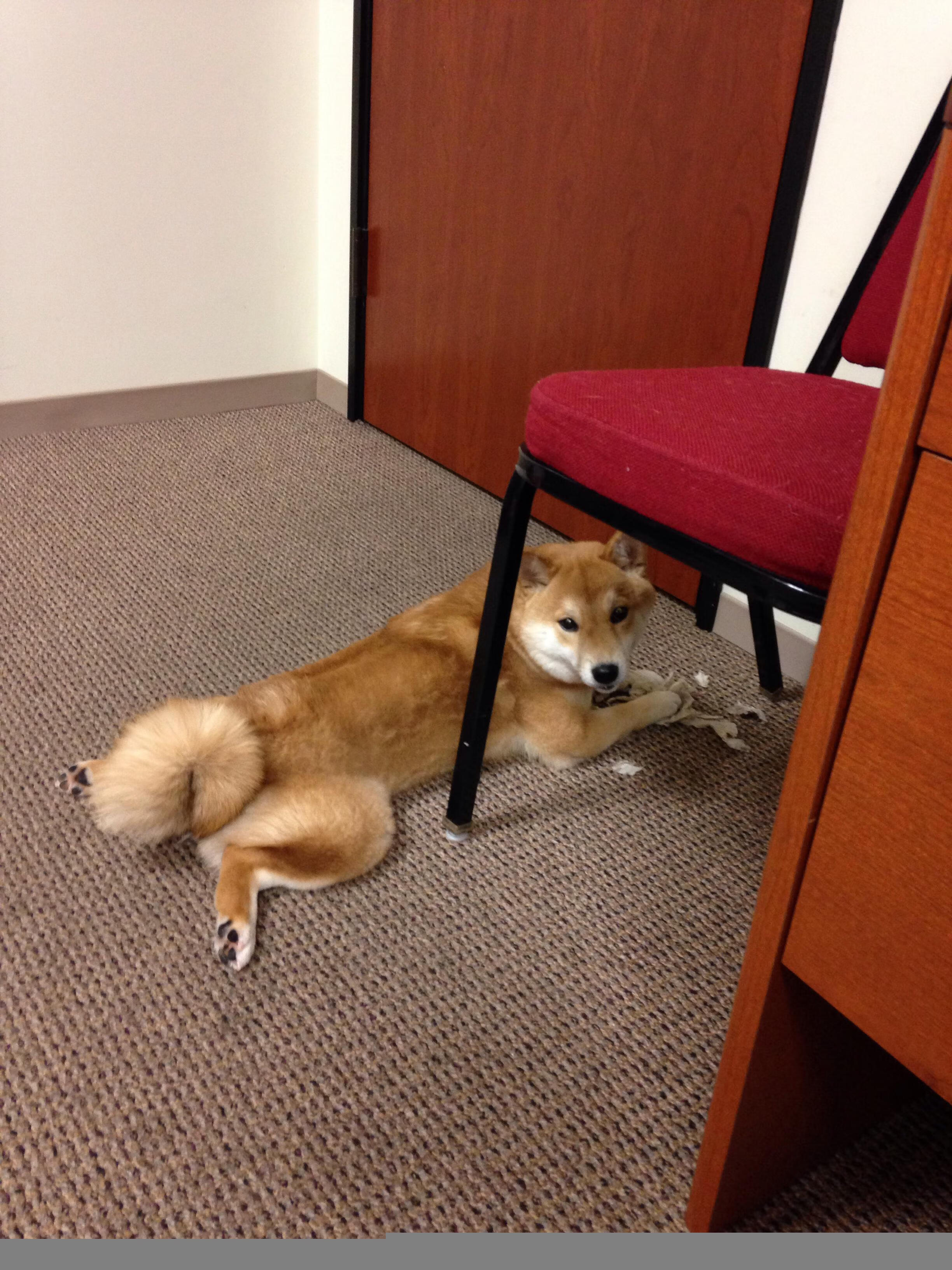 亚冠联赛中国足球战胜 球员配合逐渐成熟,中国足球亚冠征战史