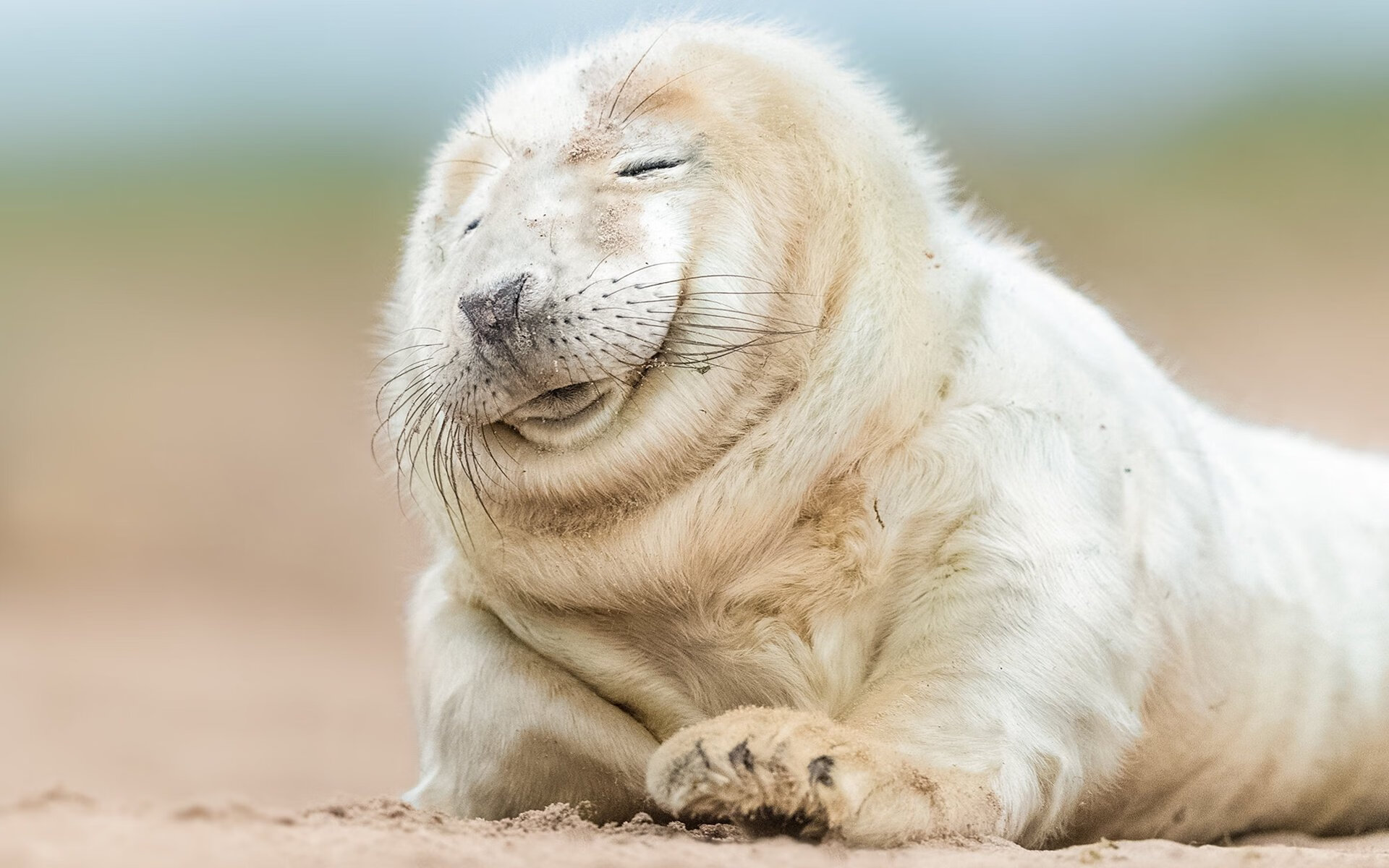 爱游戏官方网站-五大联赛是否广泛使用战术地图复盘跑位密度，五大联赛场地大小