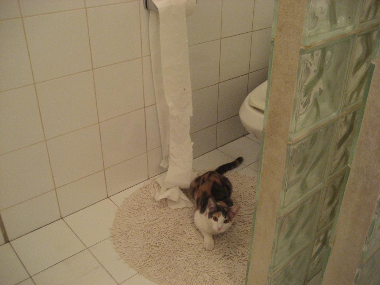 体育新闻中心上线智能体育舆情实时分析平台,体育新闻网站推荐