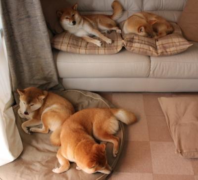 冠军选手200蝶转身数据曝光,100蝶半决赛