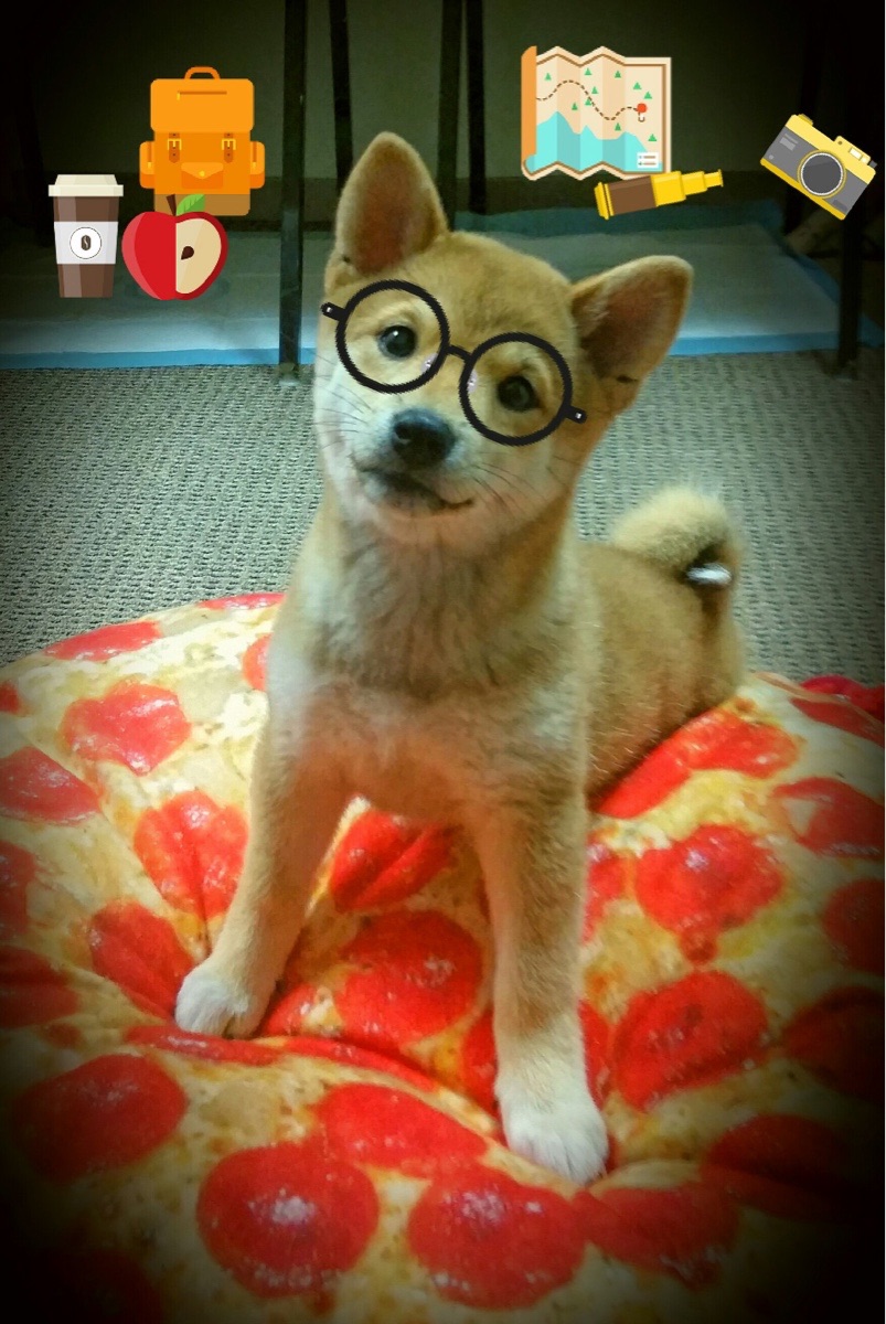 外线球员如何通过节奏制造空位机会,外线球员的定义