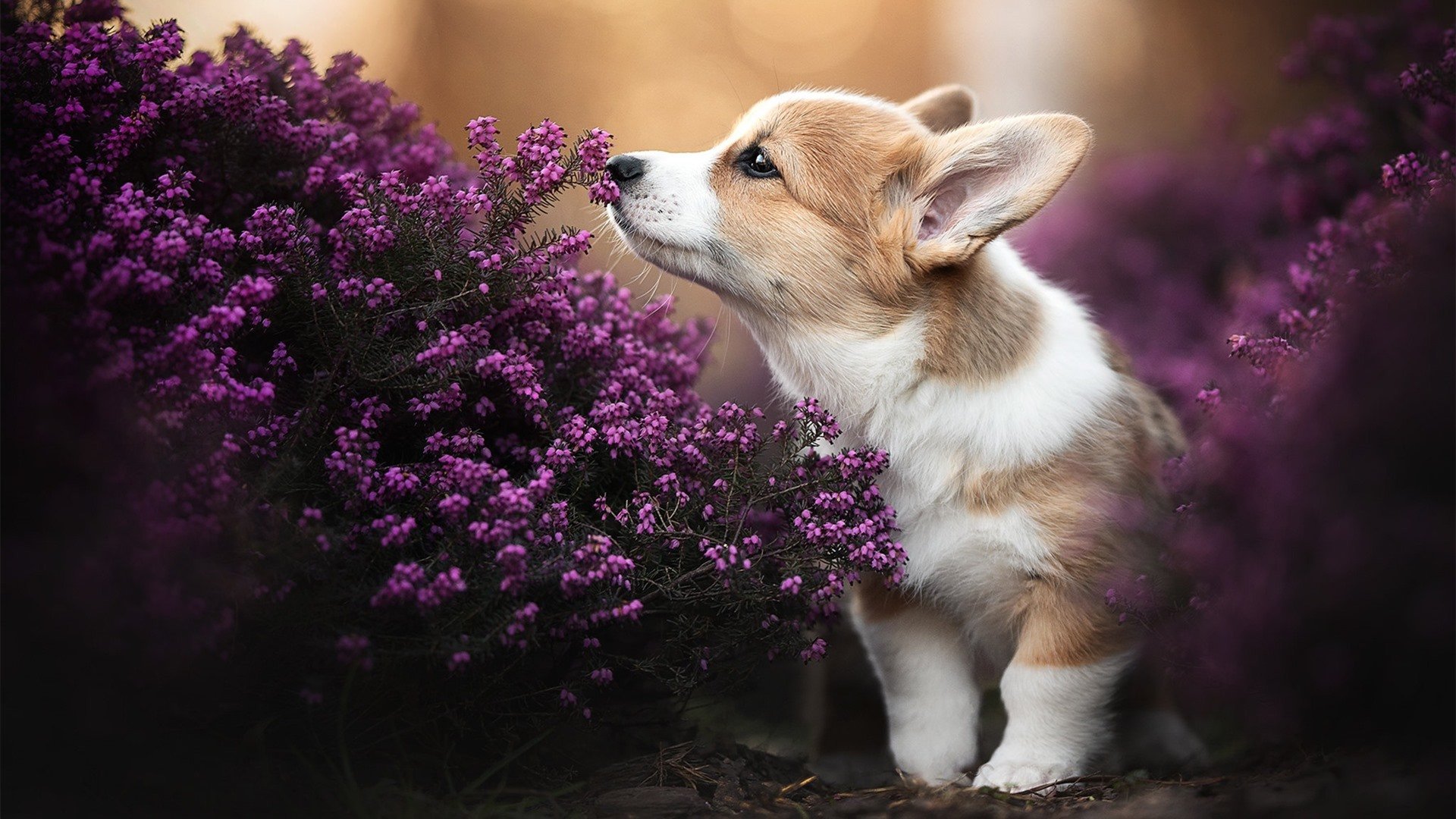 辽宁飞豹借助心理辅导保持队员专注度