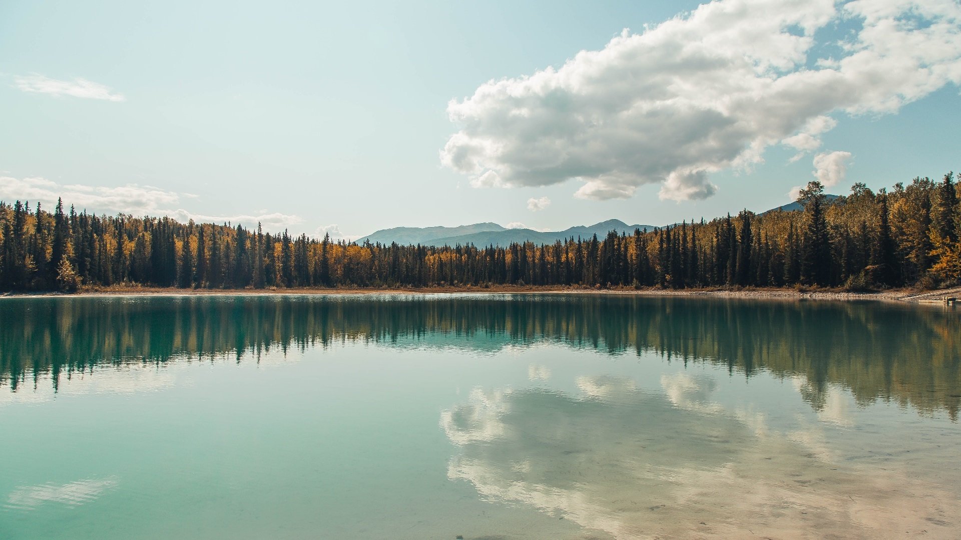 中国足球国家队主力球员恢复训练效果良好,中国足球国家队主力名单