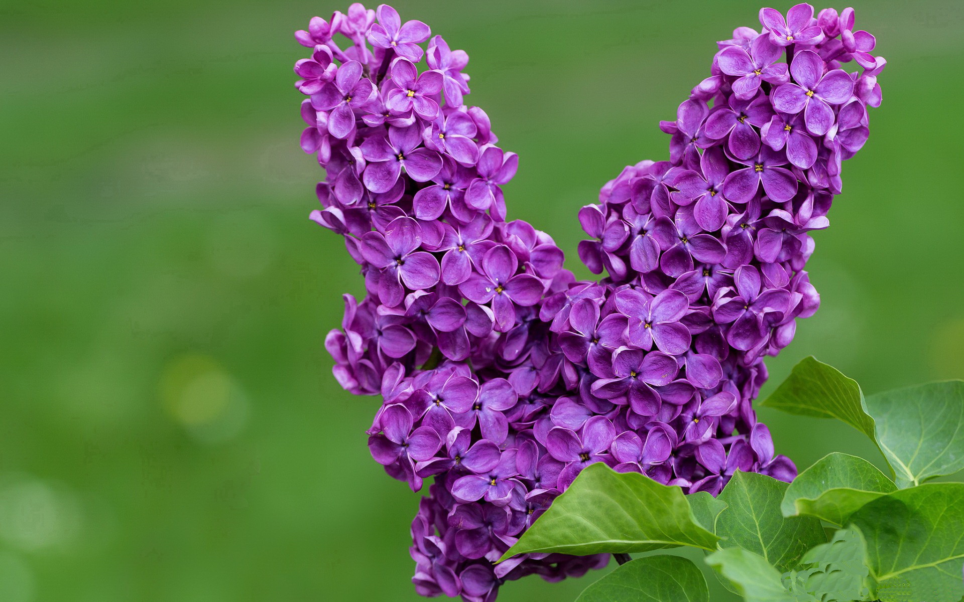 AIYOUXI.COM-国家篮球队体能训练课程优化注重恢复与爆发平衡发展，篮球队体能训练计划方案