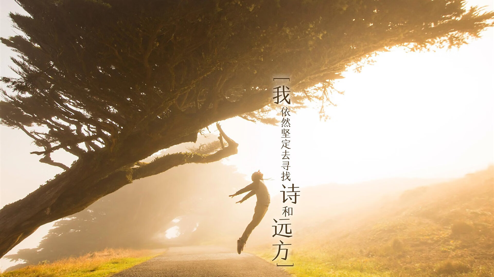 希腊女子水球展示高效组织力,男子水球希腊