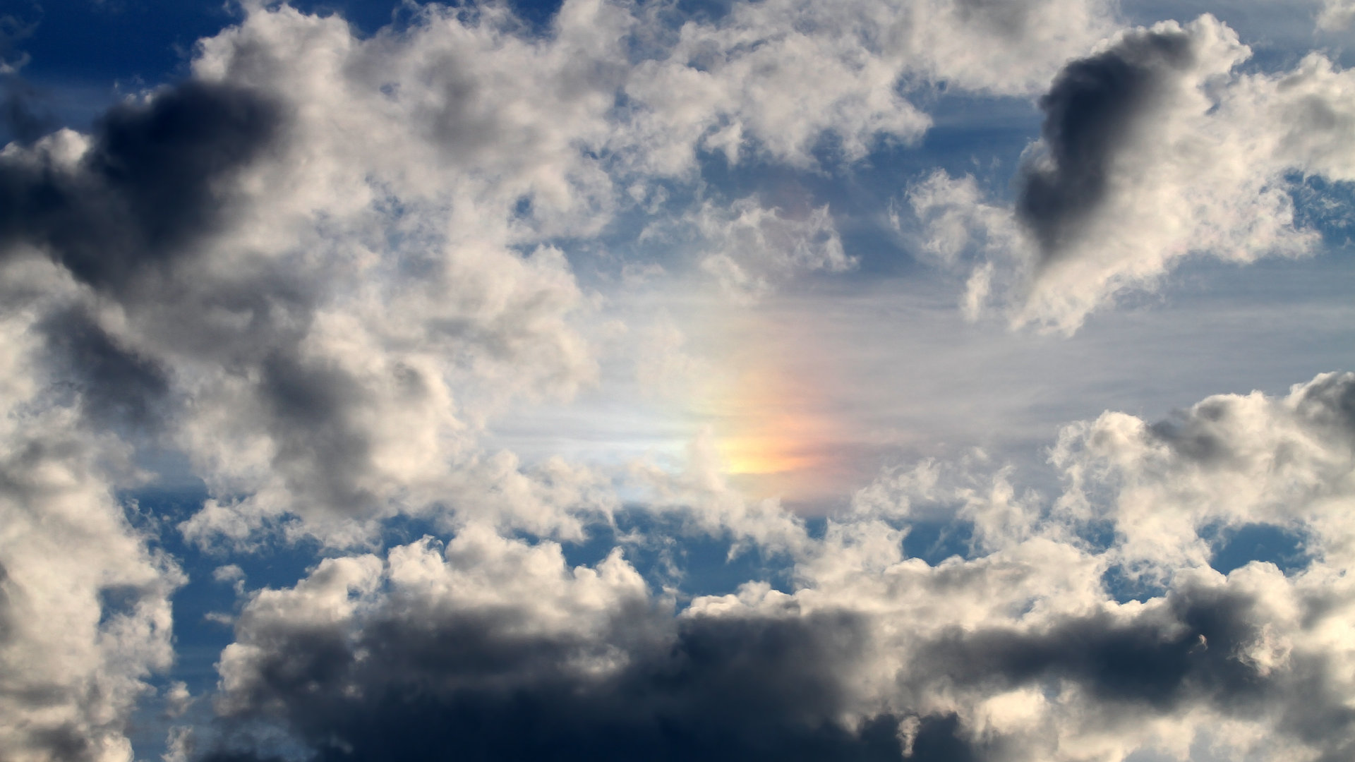 弗朗索瓦·霍尔茨豪伊泽:他的战术视野和执行力让南非队攻防两端稳如磐石