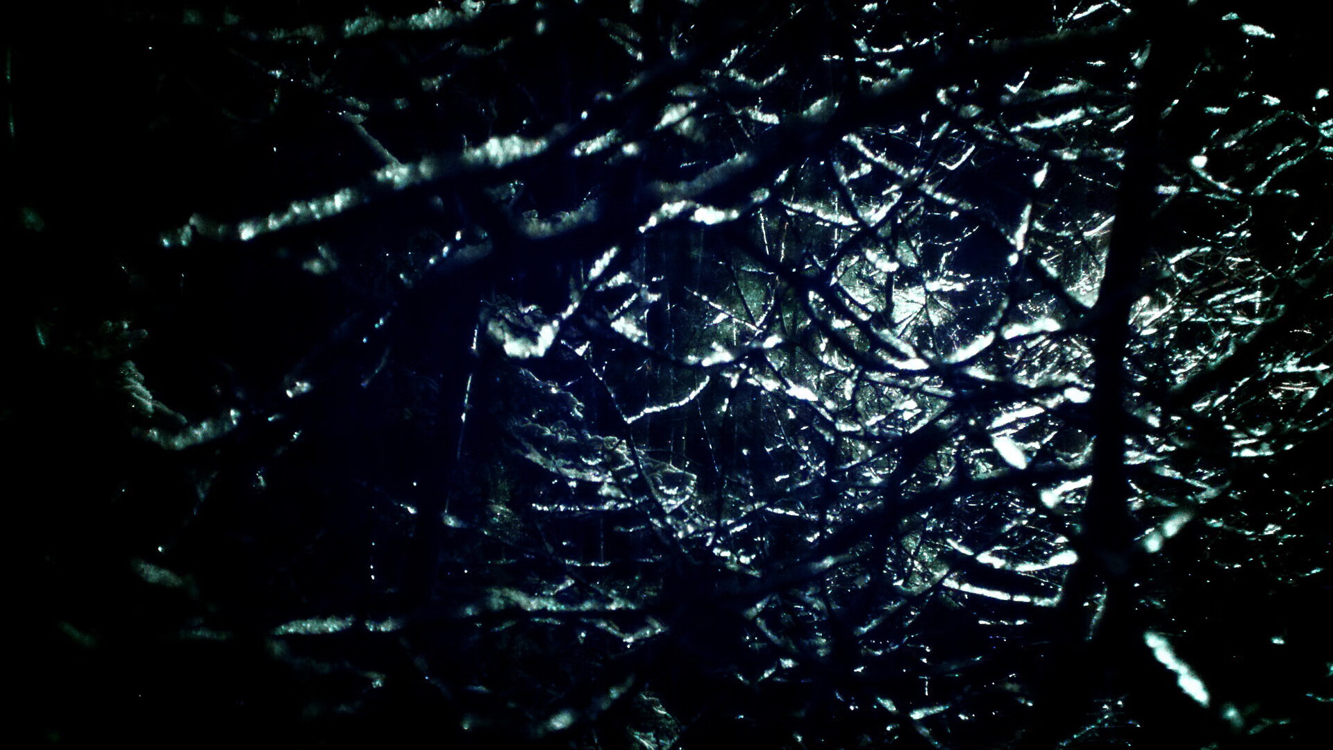 比利时蝶泳选手节奏控制精准,蝶泳的比例