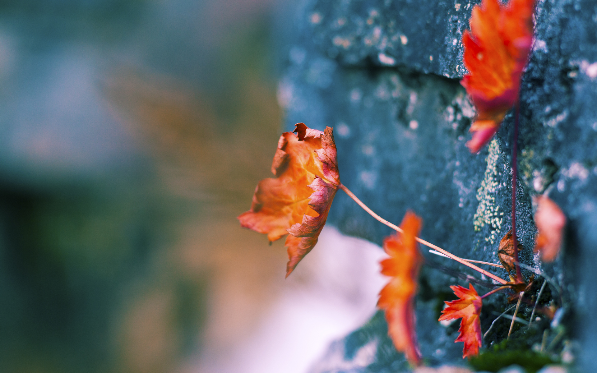 英超巅峰决战:悬念不断,精彩继续!,英超经典比赛