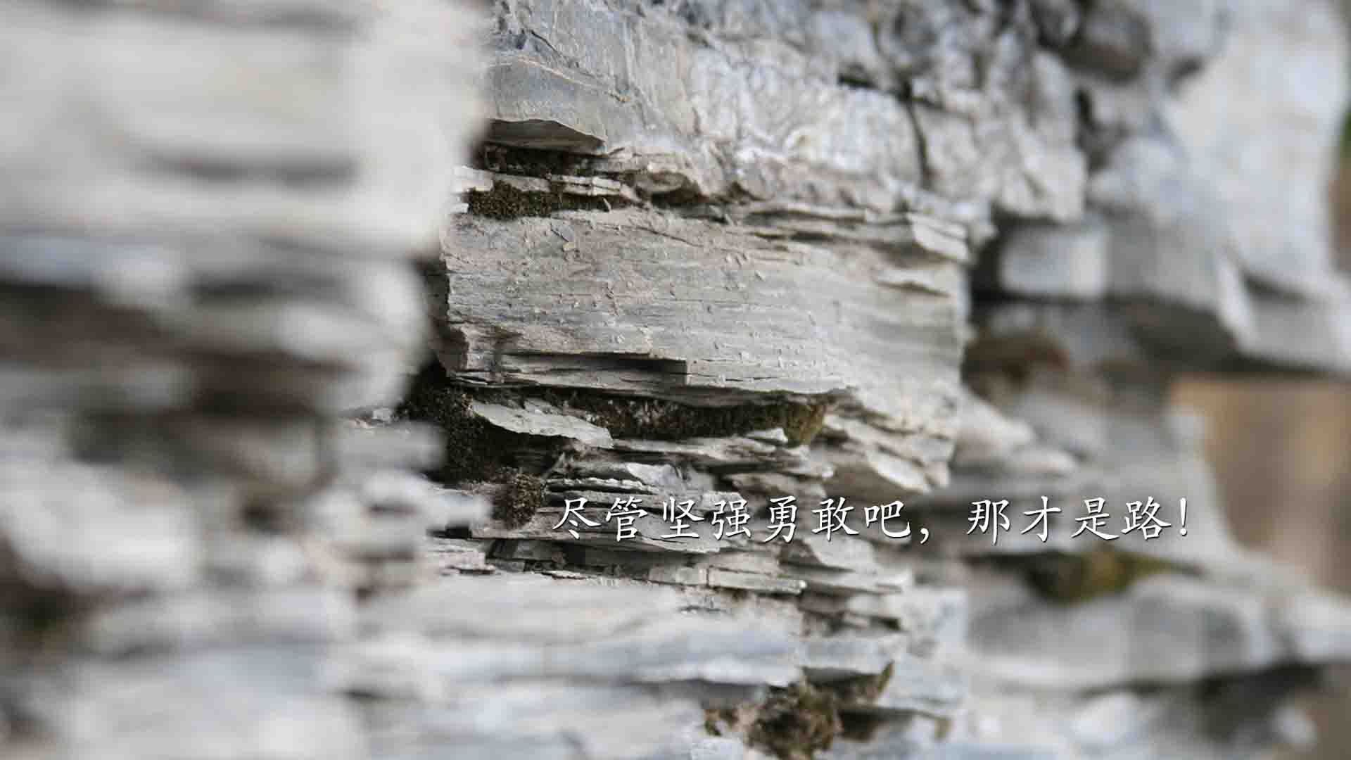 荷兰仰泳动作流畅推进有力,荷兰游泳女子名将