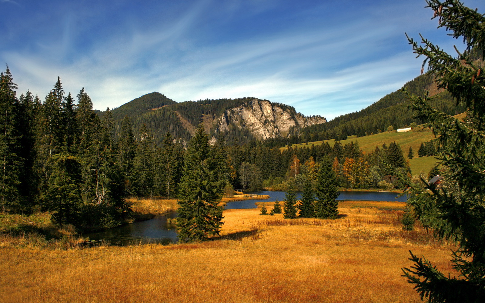 AYX GAME-赛季后期调整阵容球队打法更趋灵活多变，新赛季季后赛对阵